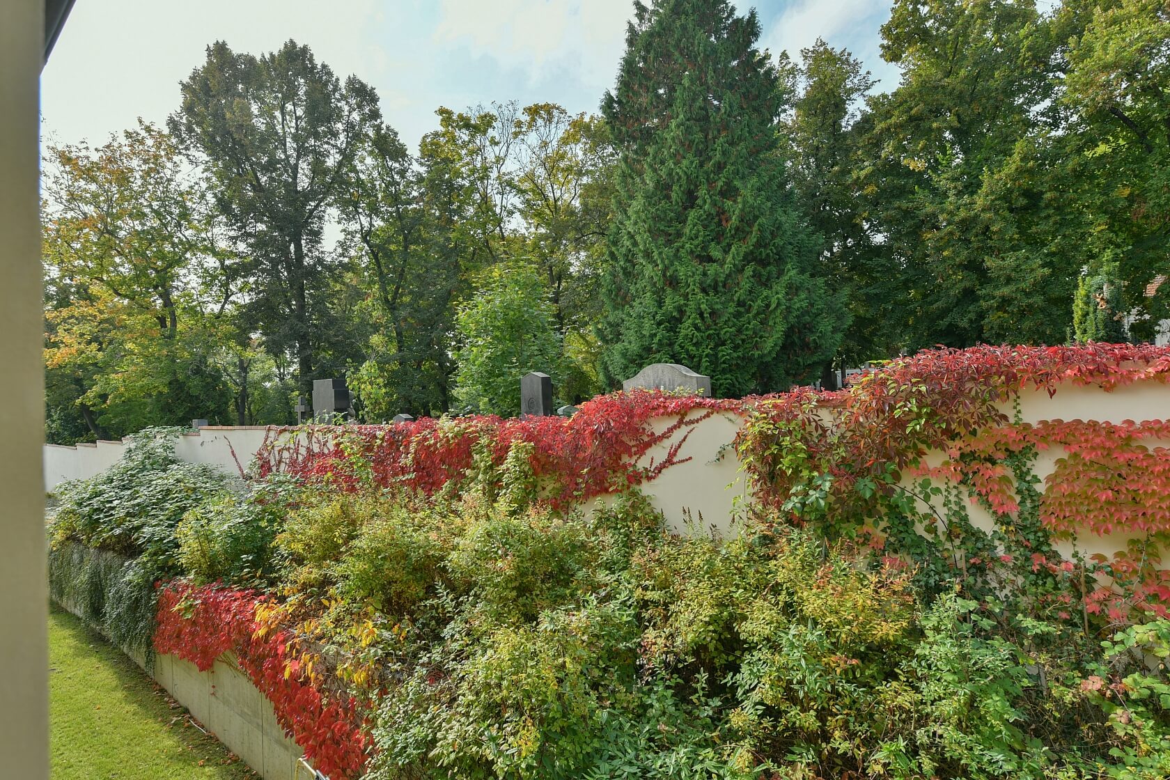 U Matěje, Dejvice - Prague 6 | Rent, Apartment Two-bedroom (3+kk), 78 m²