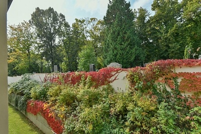 U Matěje, Dejvice - Prague 6 | Rent, Apartment Two-bedroom (3+kk), 78 m²