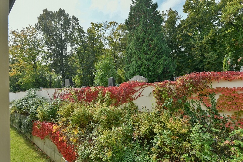 U Matěje, Dejvice - Prague 6 | Rent, Apartment Two-bedroom (3+kk), 78 m²