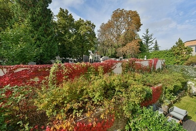 U Matěje, Dejvice - Prague 6 | Rent, Apartment Two-bedroom (3+kk), 78 m²