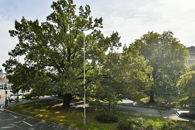 Dienzenhoferovy sady, Smíchov - Prague 5 | Rent, Apartment Three-bedroom (4+1), 155 m²