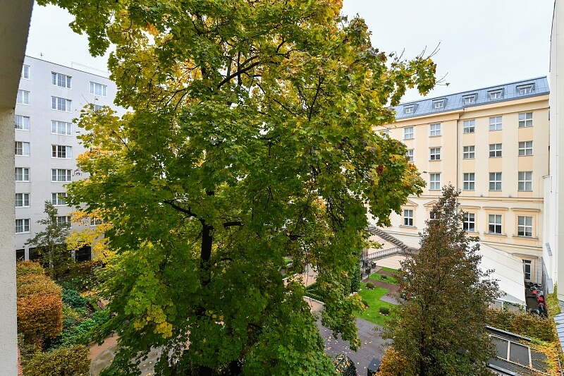 Senovážné náměstí, Nové Město - Prague 1 | Rent, Apartment One-bedroom (2+kk), 60 m²