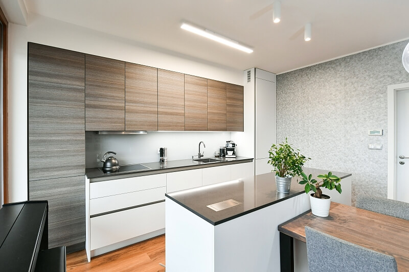 V Háji, Holešovice - Praha 7 | Pronájem, Byt 2+kk, 63 m²