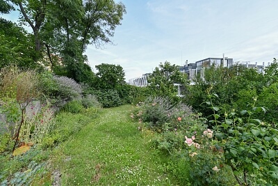 Holečkova, Smíchov - Prague 5 | Rent, Apartment Two-bedroom (3+kk), 64 m²