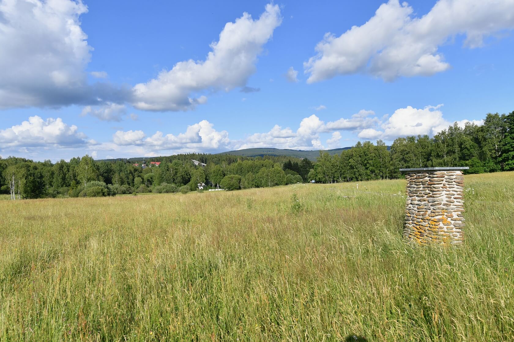 Srní, Klatovy | Sale, Land, 2 125 m²