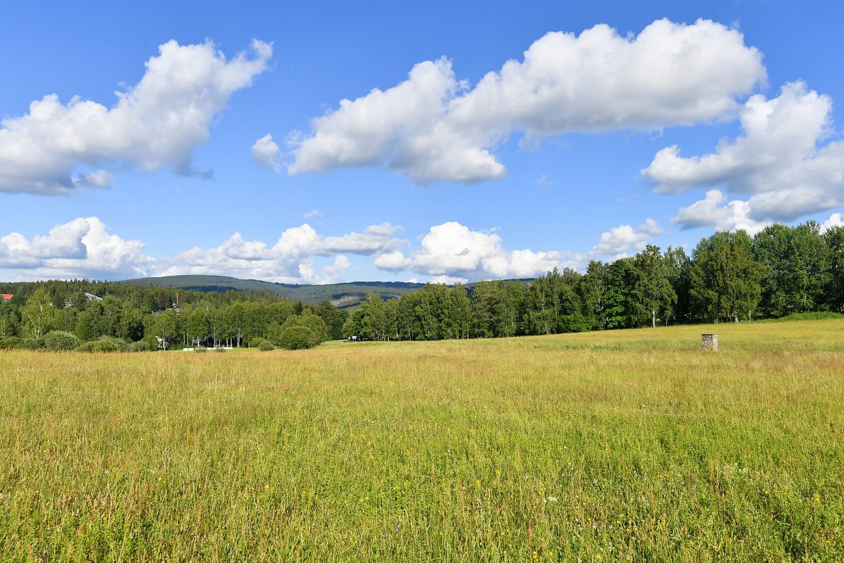 Srní, Klatovy | Sale, Land, 2 125 m²