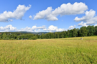 Srní, Klatovy | Sale, Land, 2 125 m²