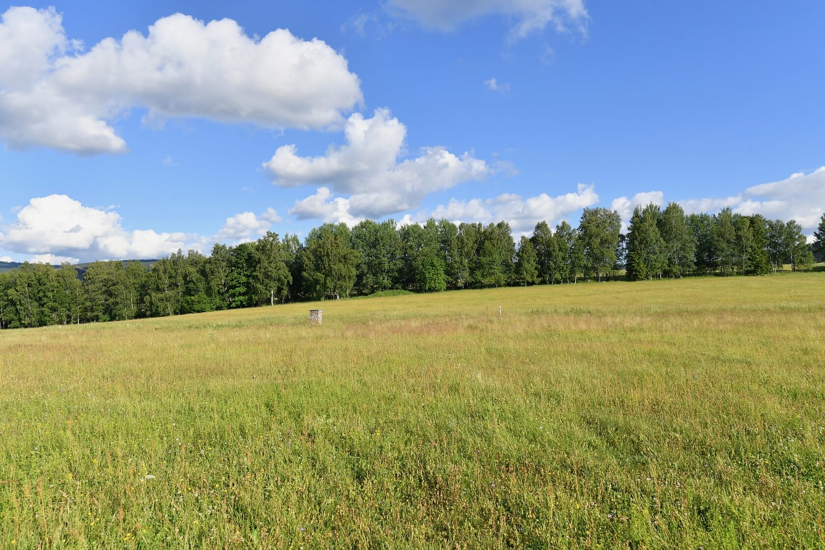 Srní, Klatovy | Sale, Land, 2 125 m²