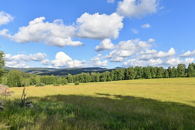 Srní, Klatovy | Sale, Land, 2 125 m²