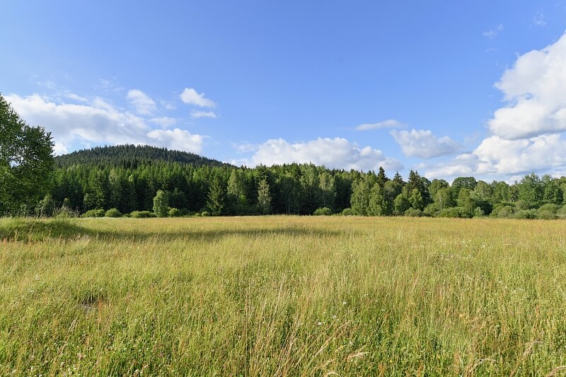 Srní, Klatovy | Prodej, Pozemek, 2 125 m²