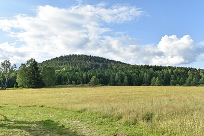 Srní, Klatovy | Sale, Land, 2 125 m²