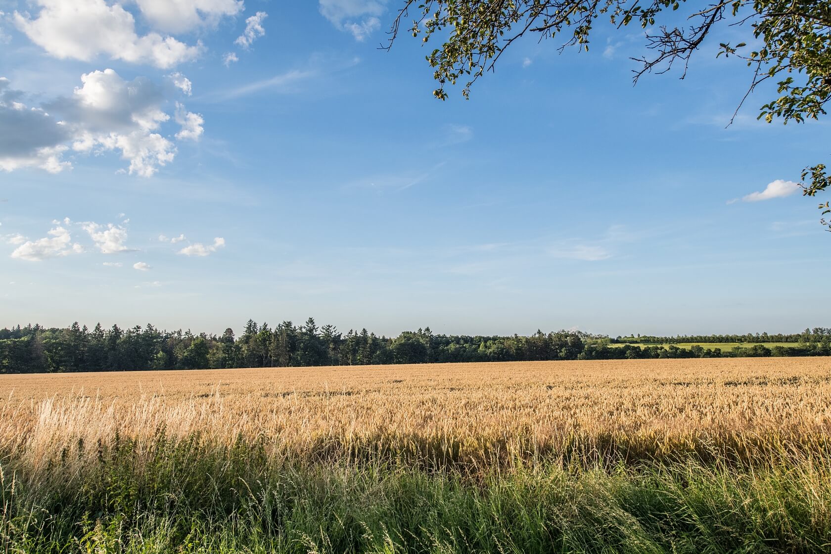 Banskobystrický kraj, Lučenec - Lučenec | Prodej, Pozemek, 3 014 000 m²