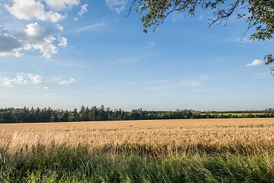 Banská Bystrica Region, Lučenec - Lučenec | Sale, Land, 3 014 000 m²