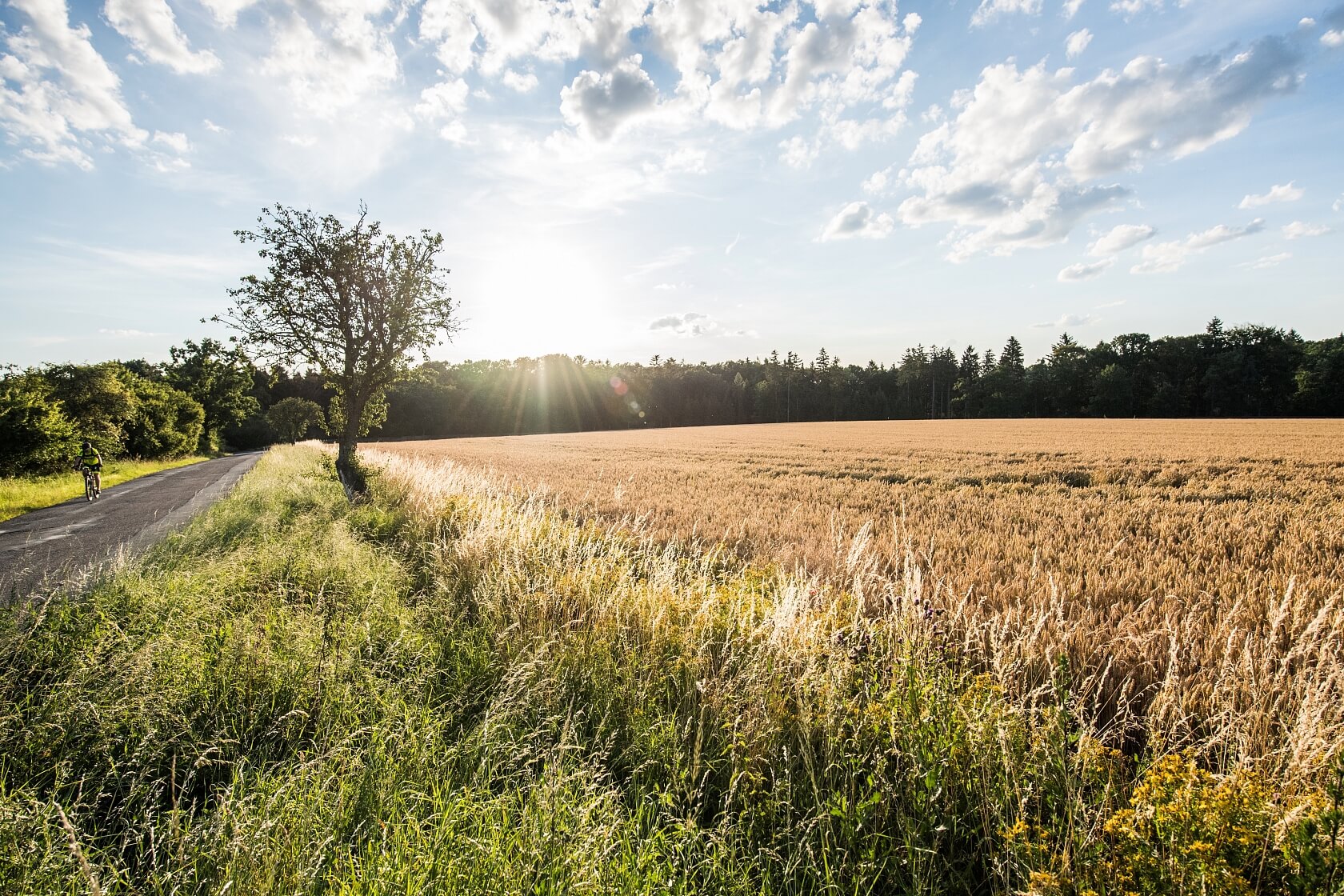Banskobystrický kraj, Lučenec - Lučenec | Prodej, Pozemek, 3 014 000 m²