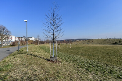 Bryksova, Černý most - Praha 9 | Pronájem, Byt 1+kk, 33 m²