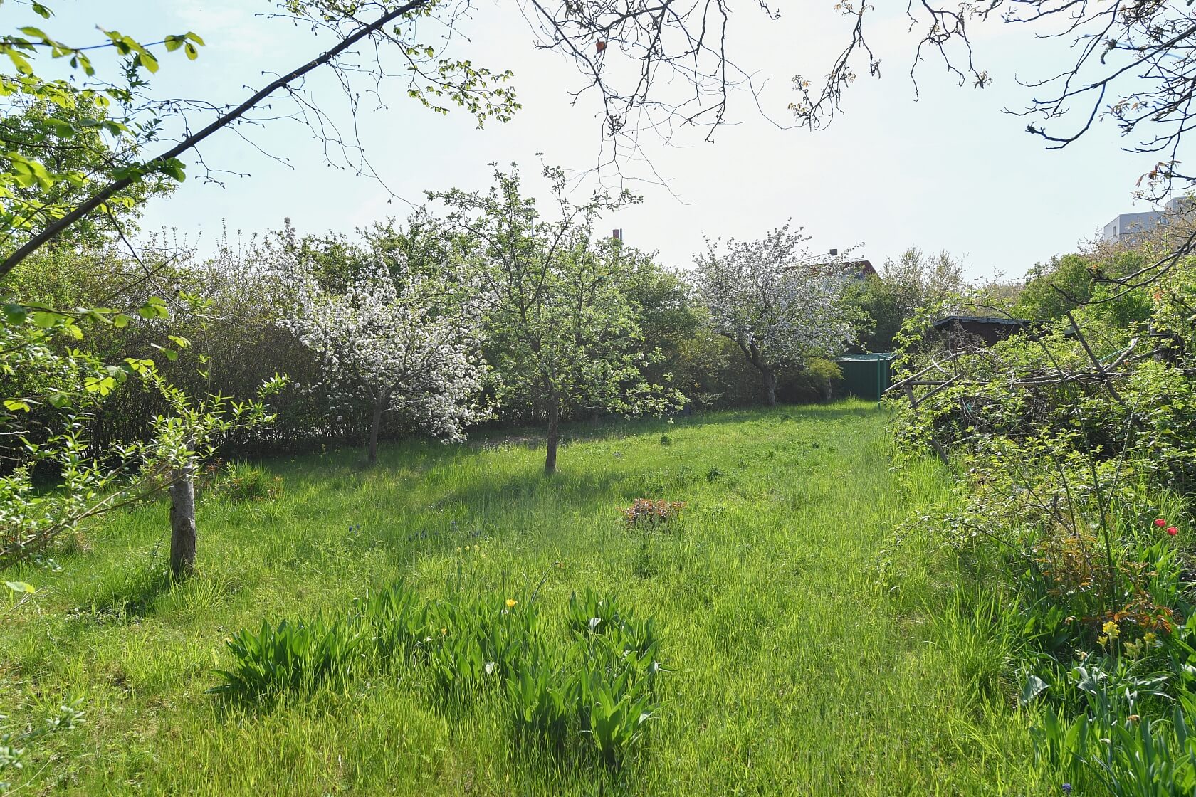 Dobrovolného, Roztoky - Praha-západ | Prodej, Pozemek, 781 m²