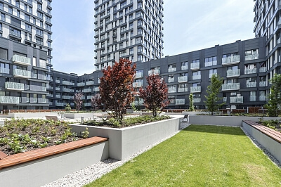 Olšanská, Žižkov - Praha 3 | Pronájem, Byt 3+kk, 94 m²