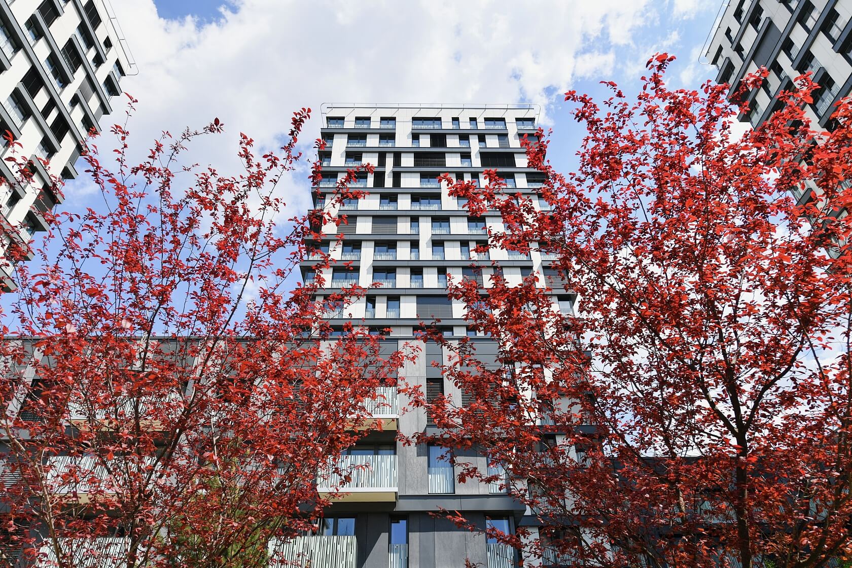 Olšanská, Žižkov - Praha 3 | Pronájem, Byt 3+kk, 94 m²