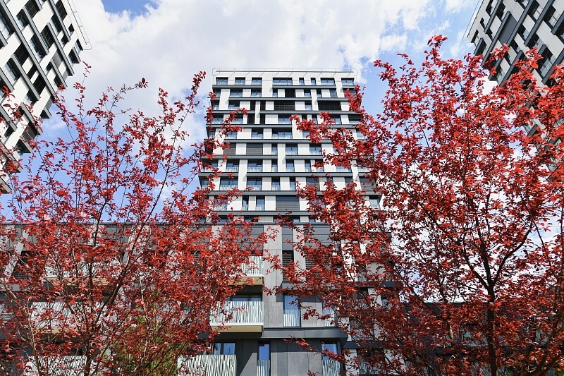 Olšanská, Žižkov - Prague 3 | Rent, Apartment Two-bedroom (3+kk), 94 m²