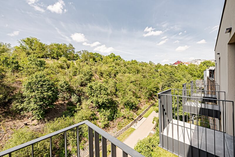 Hartigova, Žižkov - Prague 3 | Rent, Apartment One-bedroom (2+kk), 80 m²