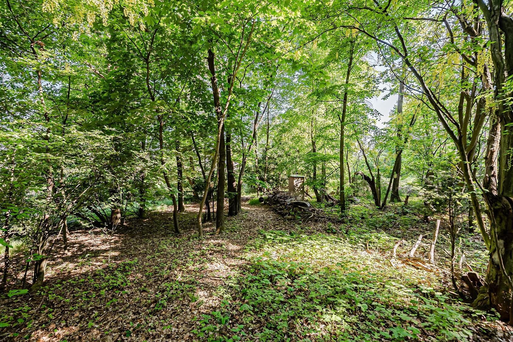 K Petrovu, Petrov - Praha-západ | Prodej, Pozemek, 2 191 m²