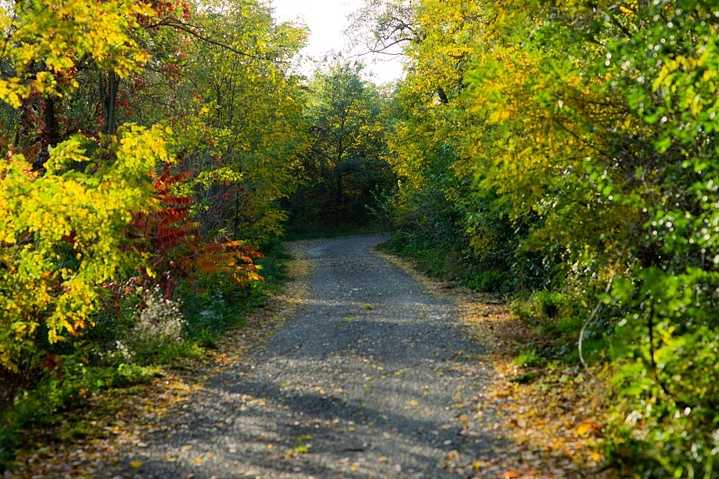 Dřínov, Mělník | Sale, Land, 1 687 m²