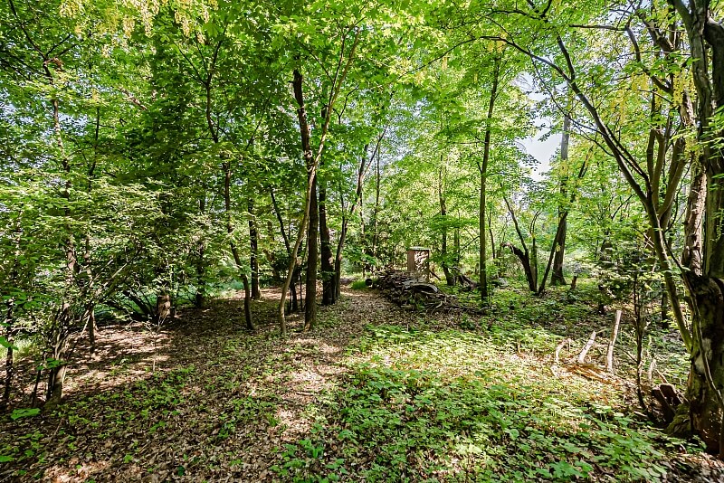 K Petrovu, Petrov - Praha-západ | Prodej, Rodinný dům 2+kk, 65 m²