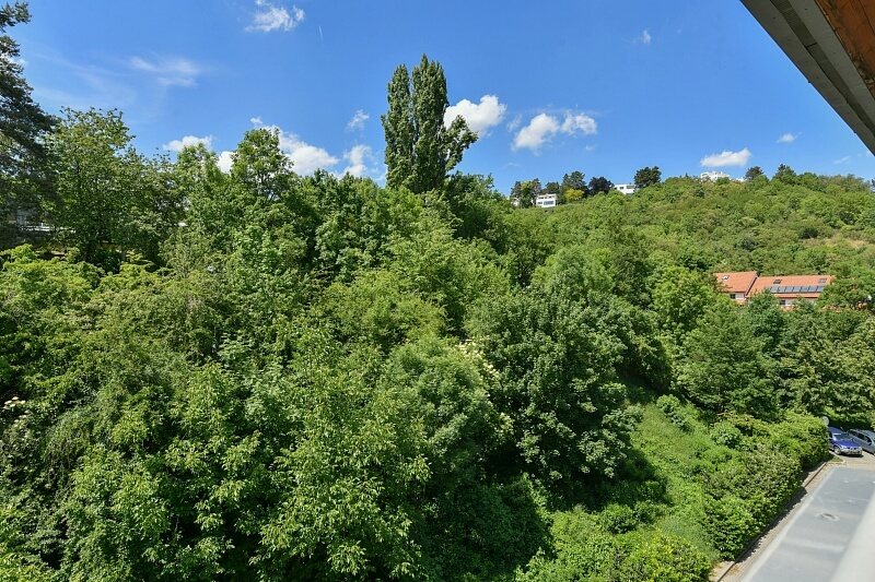 Paťanka, Dejvice - Prague 6 | Rent, Apartment Two-bedroom (3+kk), 80 m²