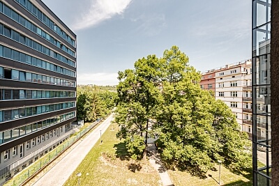 Jankovcova, Holešovice - Praha 7 | Pronájem, Byt 2+kk, 50 m²