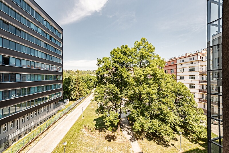 Jankovcova, Holešovice - Praha 7 | Pronájem, Byt 2+kk, 50 m²
