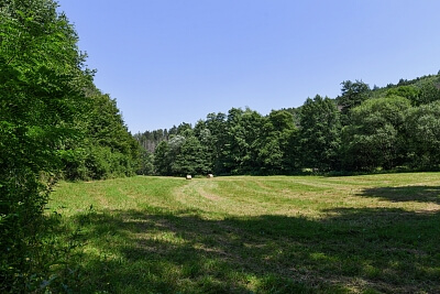 Stříbrná Skalice, Stříbrná Skalice - Praha-východ | Sale, House One-bedroom (2+1), 72 m²