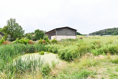 Kaliště u Ondřejova, Kaliště - Praha-východ | Sale, House Four-bedroom (5+kk), 251 m²