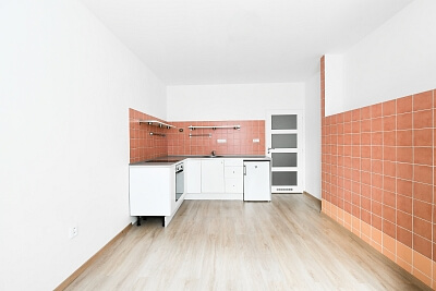 Viklefova, Žižkov - Prague 3 | Sale, Apartment One-bedroom (2+kk), 46 m²