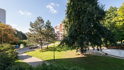 Voroněžská, Brno - Brno-město | Rent, Apartment One-bedroom (2+kk), 48 m²