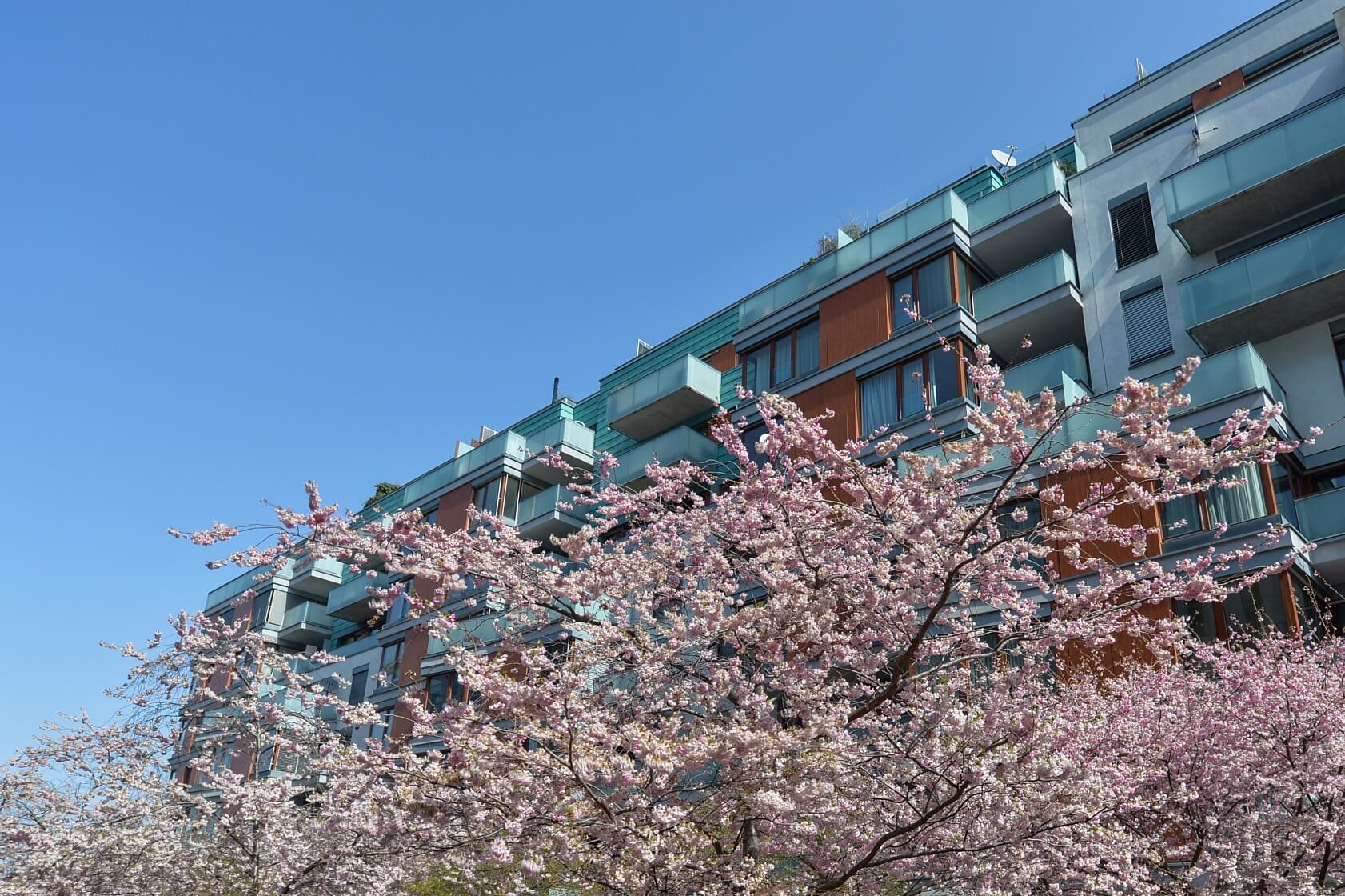 Rohanské nábřeží, Karlín - Prague 8 | Rent, Apartment Studio (1+kk), 55 m²