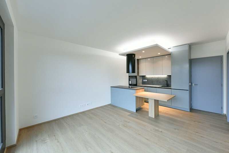 U Vlachovky, Libeň - Prague 8 | Rent, Apartment One-bedroom (2+kk), 54 m²