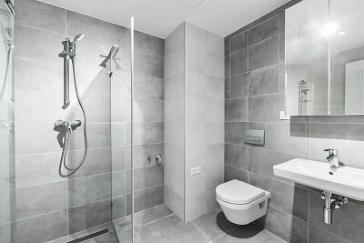 V háji, Holešovice - Prague 7 | Rent, Apartment One-bedroom (2+kk), 56 m²