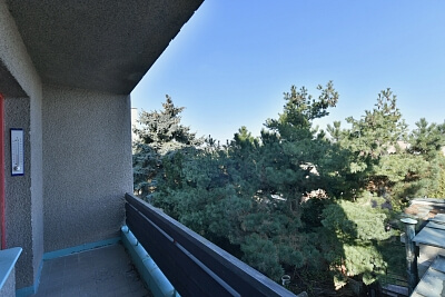 Pod Děvínem, Smíchov - Praha 5 | Pronájem, Byt 3+kk, 168 m²