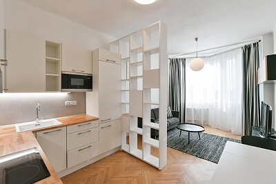 Hradešínská, Vinohrady - Prague 10 | Rent, Apartment One-bedroom (2+kk), 55 m²