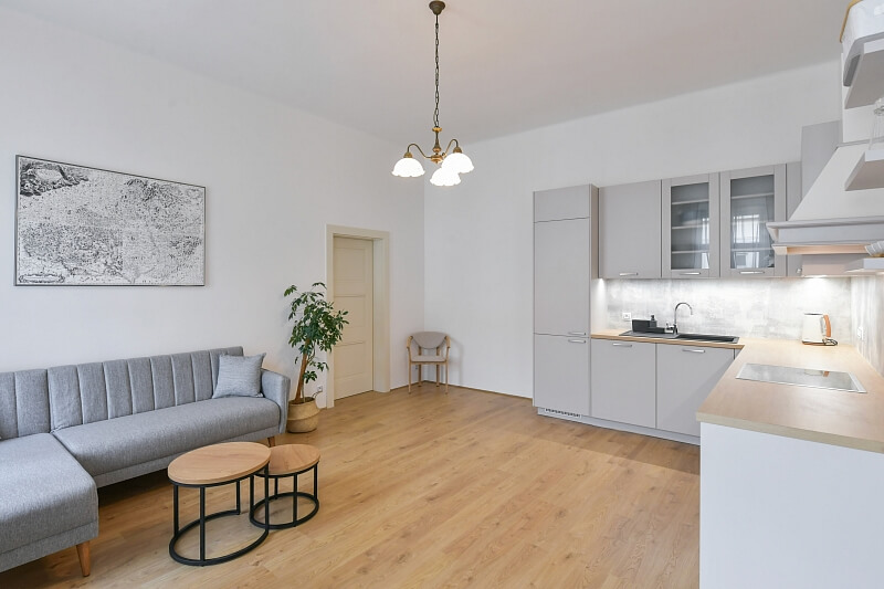 Revoluční, Nové Město - Prague 1 | Rent, Apartment One-bedroom (2+kk), 63 m²