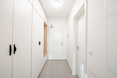 U Viktorie, Žižkov - Praha 3 | Pronájem, Byt 1+kk, 43 m²