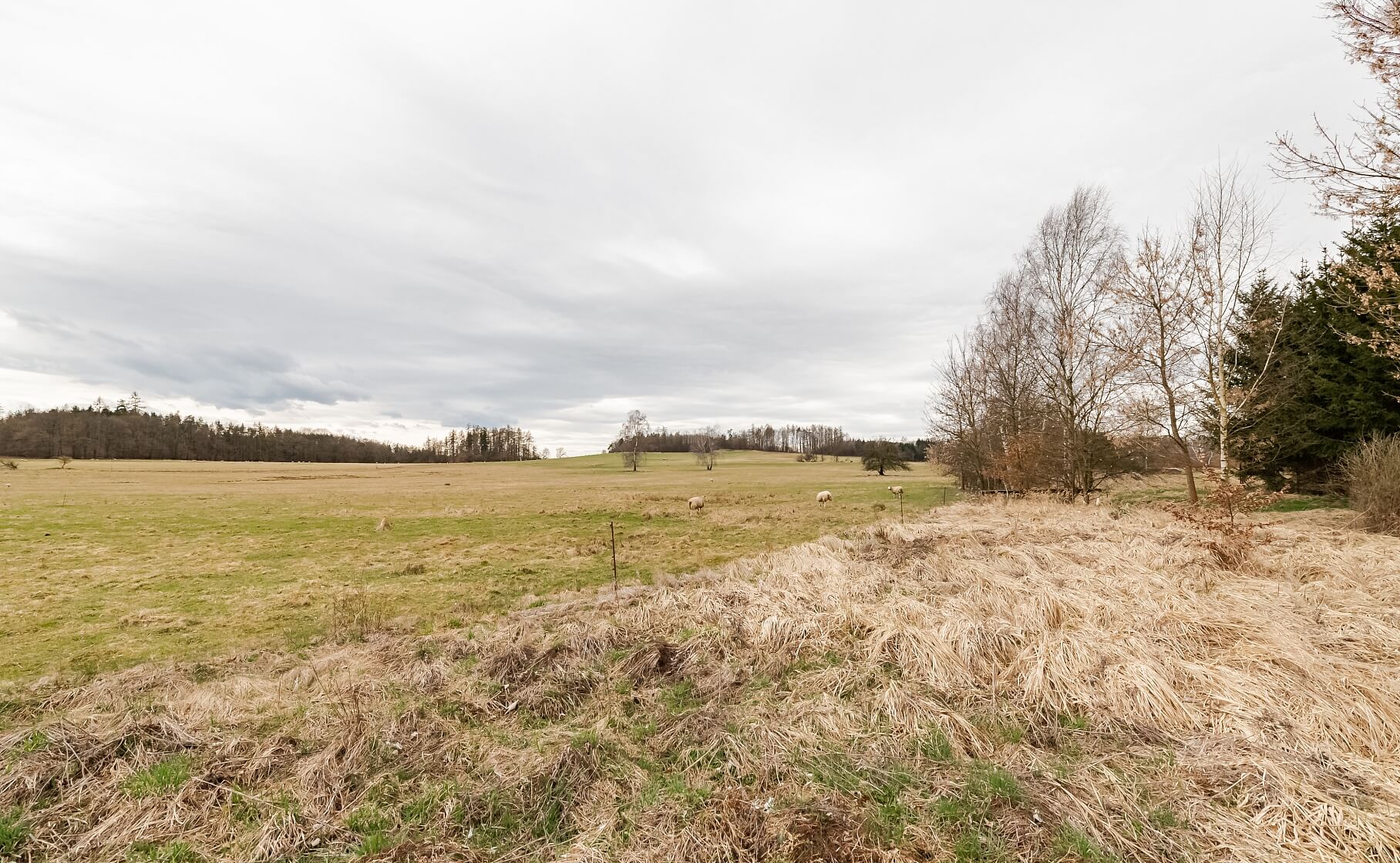 Ke Hrázi, Ondřejov - Praha-východ | Prodej, Pozemek, 2 693 m²