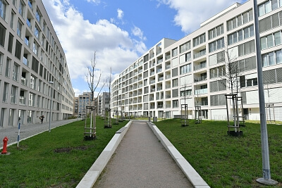 Breitfeldova, Karlín - Prague 8 | Rent, Apartment Studio (1+kk), 40 m²