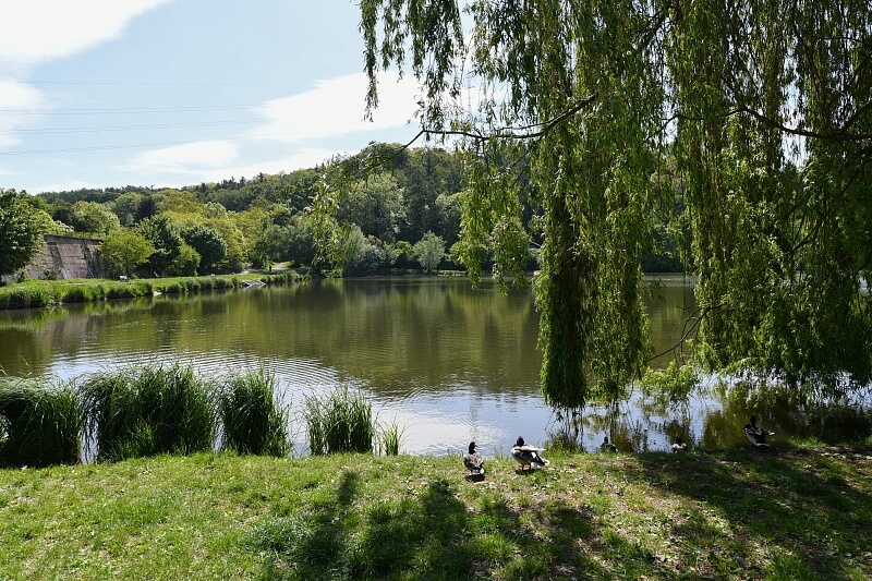 Naardenská, Liboc - Praha 6 | Pronájem, Byt 3+kk, 100 m²