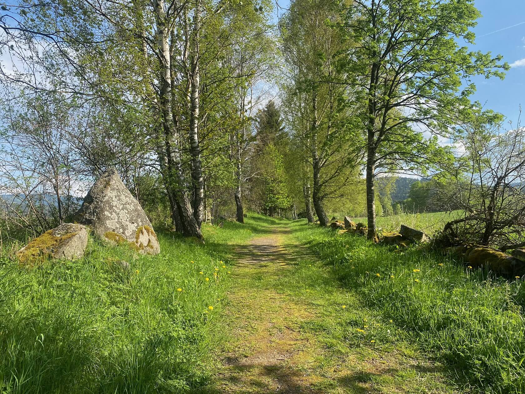 Srní, Klatovy | Sale, Land, 2 125 m²