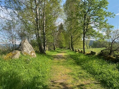 Srní, Klatovy | Sale, Land, 2 125 m²