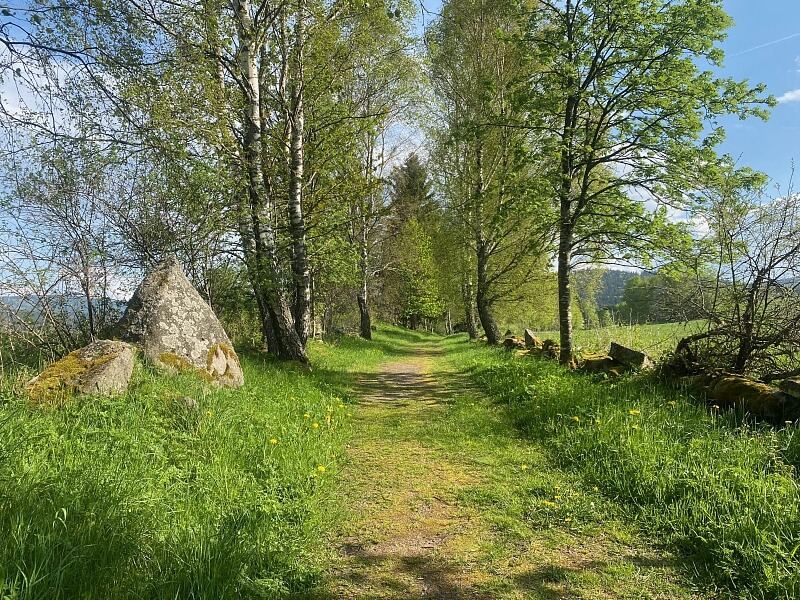 Srní, Klatovy | Sale, Land, 2 125 m²