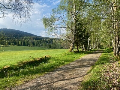 Srní, Klatovy | Sale, Land, 2 125 m²