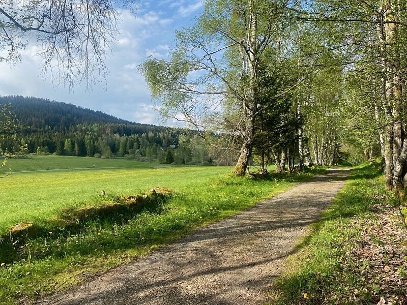 Srní, Klatovy | Prodej, Pozemek, 2 125 m²