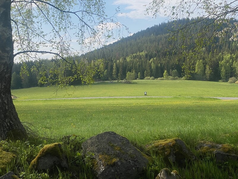 Srní, Klatovy | Prodej, Pozemek, 2 125 m²